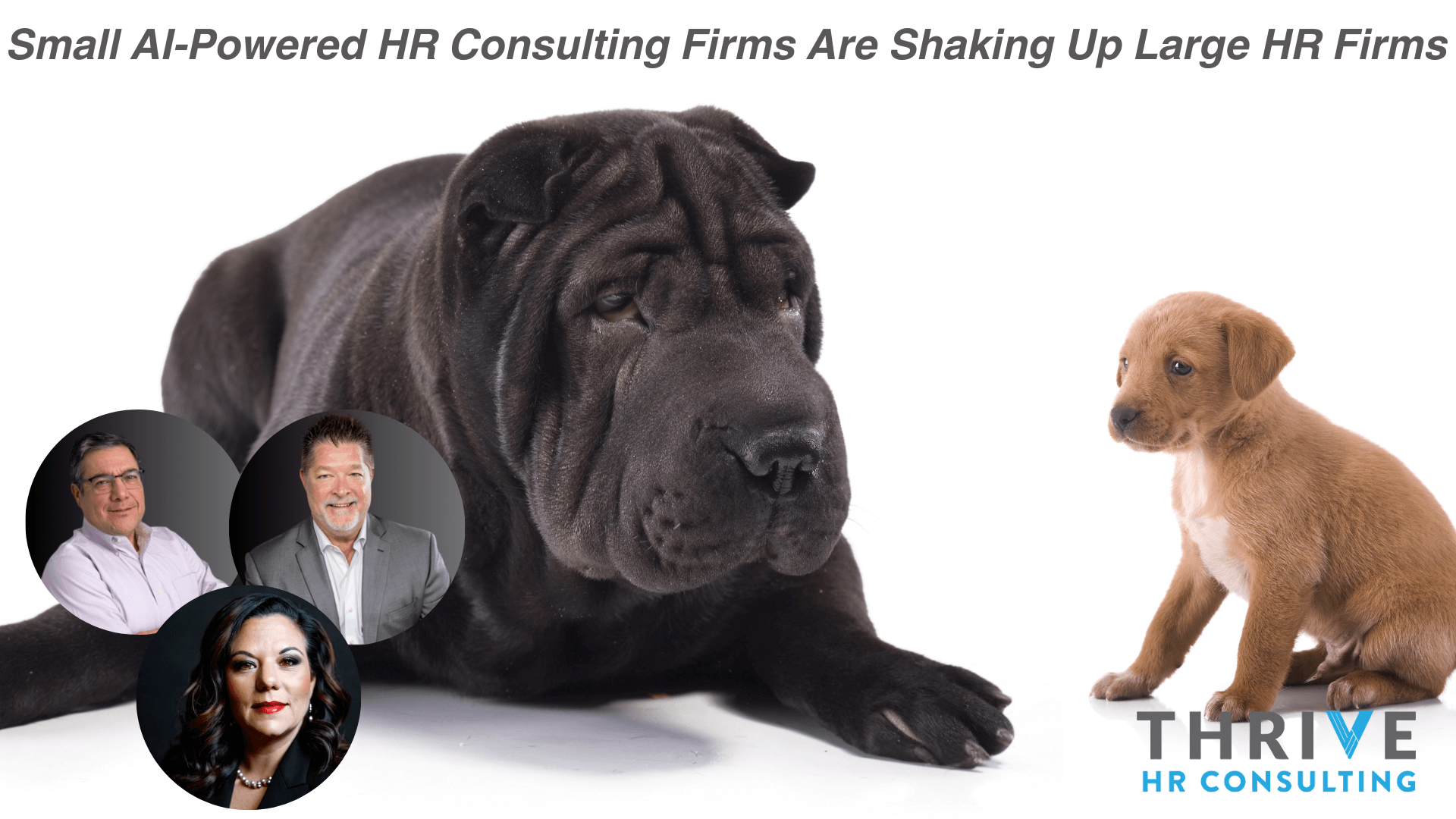 Small HR Firms